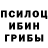 Галлюциногенные грибы Magic Shrooms Jay Cariddi