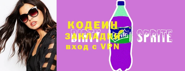 индика Осташков
