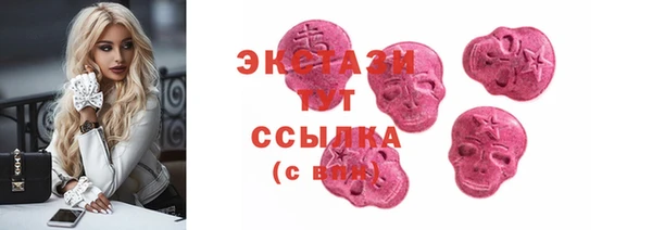 индика Осташков