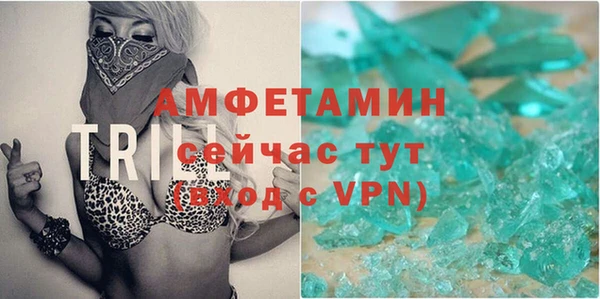 индика Осташков
