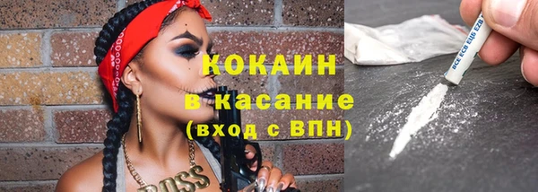 индика Осташков