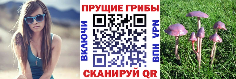 ОМГ ОМГ ссылки  Лебедянь  Галлюциногенные грибы мицелий 
